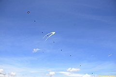 Venice kite festival_0127